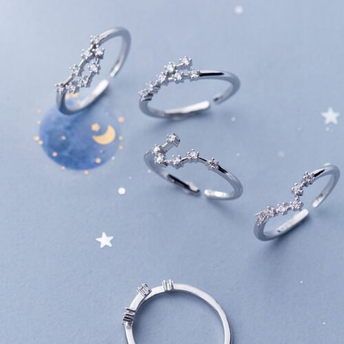 Zodiac Sign Ring Zodiac Sign Ring