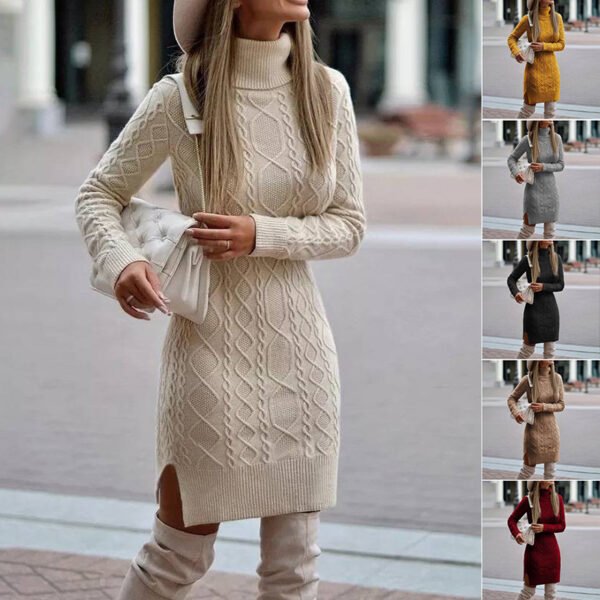 Turtleneck Knitted Dress