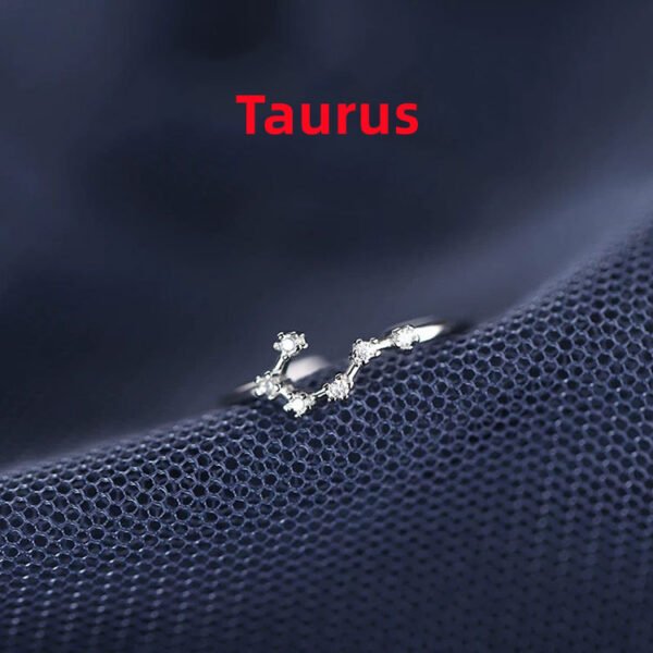 Zodiac Sign Ring Zodiac Sign Ring